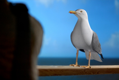 Seagull – When going abroad, go wise.